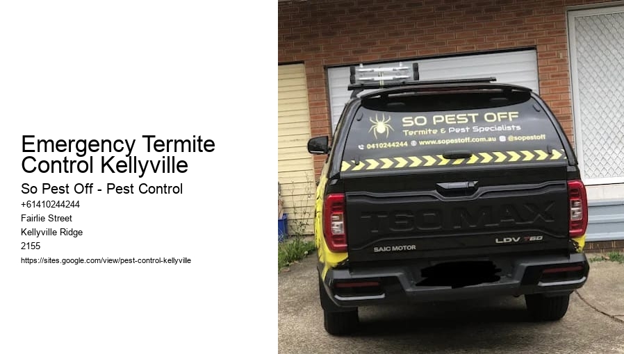 Emergency Termite Control Kellyville