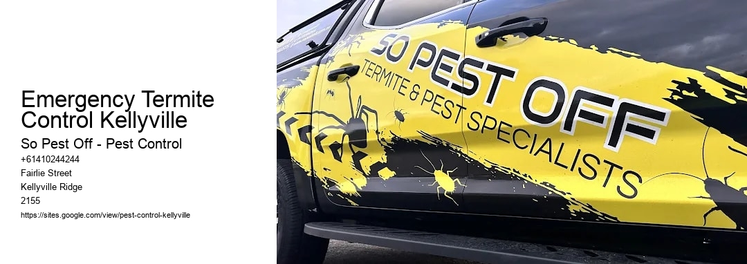 Emergency Termite Control Kellyville