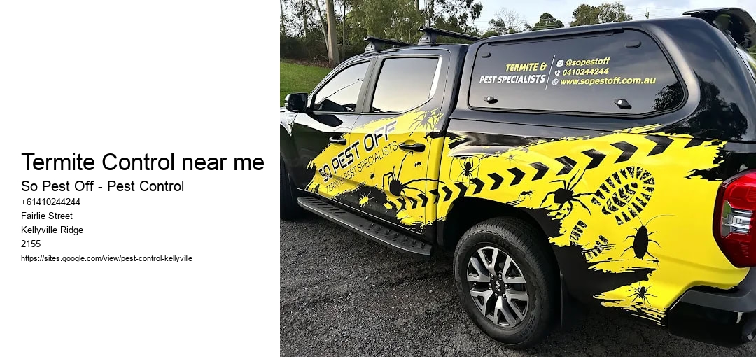 Termite Control near me